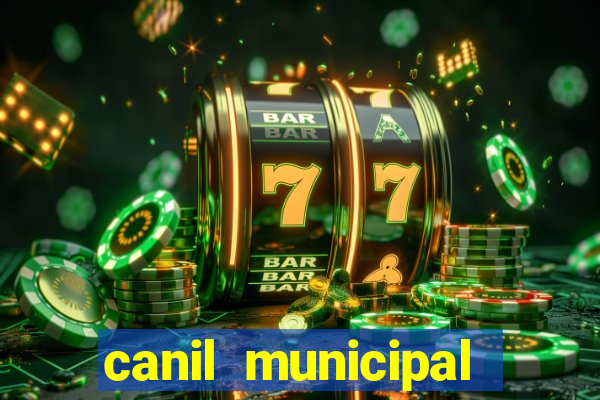 canil municipal porto alegre